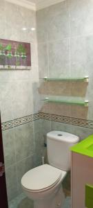 ein Badezimmer mit einem WC und einer grünen Theke in der Unterkunft Duplex Garonda in Pravia