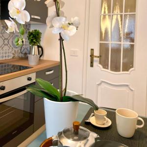 un vaso con fiori bianchi su un tavolo in cucina di Lazy Time Apartment a Roma Altre 13 foto