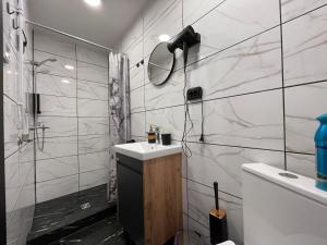 a bathroom with a sink and a shower and a mirror at Kamiles apartamentai in Palanga