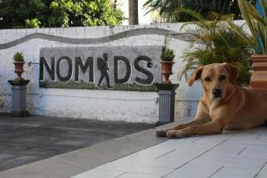 Domácí mazlíčci ubytovaní s hosty v ubytování Nomads Hostel Multicultural & Coworking