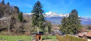 a village with a mountain in the background at Appartement 1 chambre idéalement situé in Domancy +1 photo
