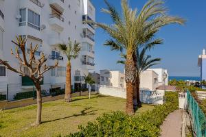 a group of palm trees in front of a building at Estudio Jardín del Mar in Torrevieja