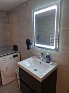 bagno con lavandino e specchio di Charming apartment near La Défense, Paris a Bezons
