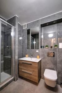 Salle de bains dans l'établissement Superbe T2 Climatisation Proche Lyon Métro