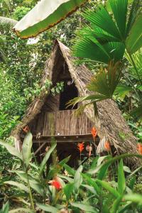 une maison d'oiseaux au milieu d'une forêt dans l'établissement La Aldea del Primitivo, à Nuquí