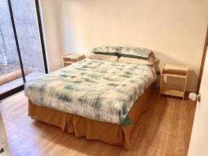 um quarto com uma cama num quarto em Urban Lodge Providencia em Santiago