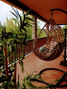 een hangmat op een veranda met een plant bij Casa da Beira Rio in Marco de Canavezes