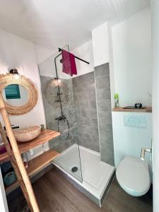 un bagno con doccia e WC di Chambre Antillaise a Les Trois-Îlets Altre 2 foto