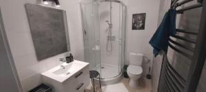 a bathroom with a shower and a sink and a toilet at Ambasada zieleni in Uniejow