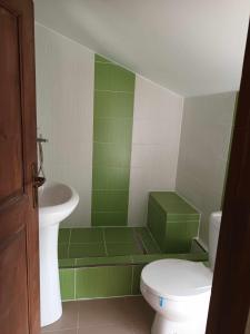 - une salle de bains verte et blanche avec toilettes et lavabo dans l'établissement Casa Verde 2, à Carei