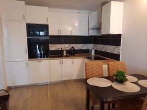 A kitchen or kitchenette at Napsugár Apartman Ezüstpart