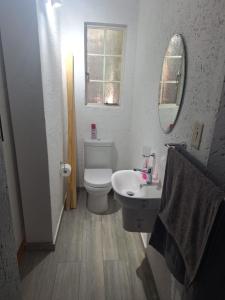 a bathroom with a toilet and a sink and a mirror at Die Eend Studio in Centurion