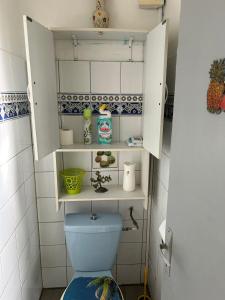 a bathroom with a toilet with a shelf above it at La maison de campagne in Morne-à-lʼEau