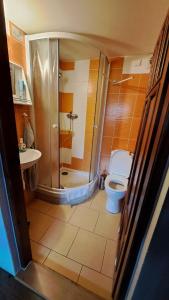 y baño con ducha, aseo y lavamanos. en Penzion pod Železným Vrchem, en Chřibská