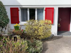 Zahrada ubytování B&B Biel-Brügg