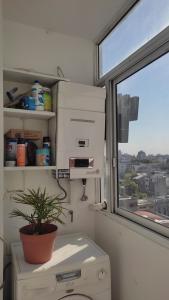 baño con ventana y aseo con planta en En el corazón de Palermo Soho en Buenos Aires