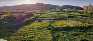 an aerial view of a field with a mountain at Diamonds country-view apt in Marsalforn