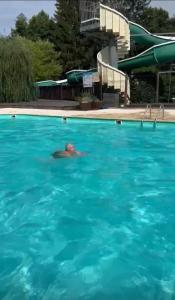 a man swimming in a swimming pool at Le chalet de DOMY in Granges-sur-Vologne