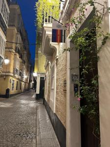 una calle vacía en una ciudad por la noche en Palacete de La Alameda - Adults Only- en Cádiz
