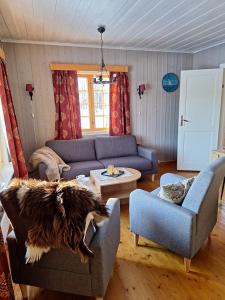 a living room with a dog laying on the couch at Øen cabin in Geilo by Norgesbooking in Geilo