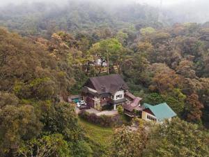 蒙納的住宿－The RaaRees Resort - A Hidden Resort in Munnar，森林中间房屋的空中景观