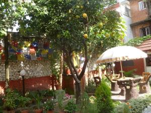 Zahrada ubytování Andes House