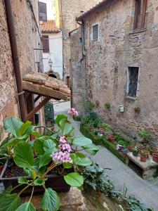 un callejón con macetas en un edificio antiguo en casa il Girasole Pitigliano, en Pitigliano