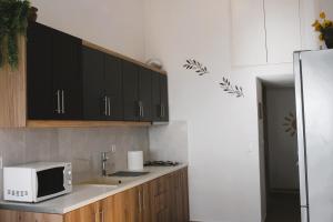 uma cozinha com um lavatório e um micro-ondas em Theatraki em Selínia
