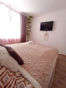 1 dormitorio con 1 cama y TV en la pared en Apartament Eagle, en Predeal