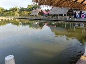 Kolam renang di atau dekat dengan Club Rey Pez Espinal