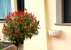 Vonkajšia záhrada v ubytovaní Gemelli Hotel