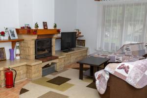 a living room with a couch and a fireplace at Cheile Valsanului in Brăduleţ