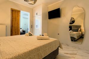 a bedroom with a bed and a mirror at Armonia Holiday Home Corfu with King size Bed and Private Garden in Áyios Pandeleḯmon