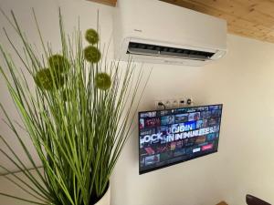 una tv appesa a un muro accanto a una pianta in vaso di Apartmán Stupava a Stupava