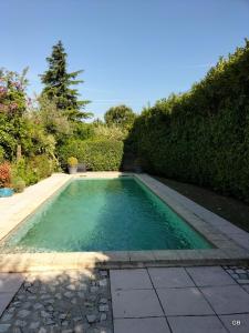 a swimming pool with green water in a garden at Le Mas des Clots in Upie