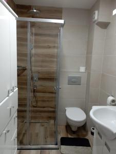 a bathroom with a shower and a toilet and a sink at Apartmani Dar Lux in Banja Koviljača