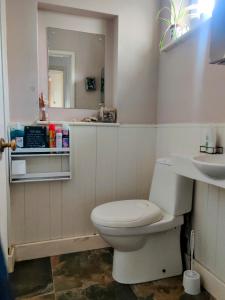 a bathroom with a white toilet and a sink at Headington Haven Homestay in Oxford