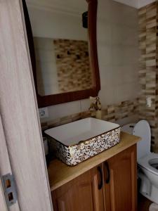 y baño con lavabo blanco y aseo. en Apartament Eva en Bacău