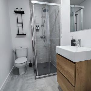 ein Bad mit einer Dusche, einem WC und einem Waschbecken in der Unterkunft Apartamentos Costa II in Los Alcázares