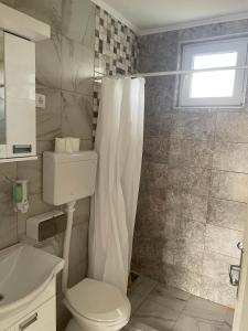 uma casa de banho com um WC e uma cortina de chuveiro em Apartmani Urošević em Vrhpolje