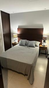 1 dormitorio con 1 cama grande y 2 lámparas en Dpto nuevo en Chapultepec, en Guadalajara
