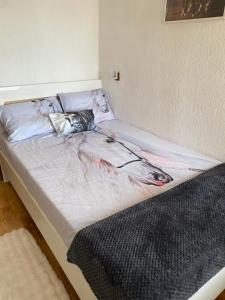 サンダンスキにあるАпартамент “Djanina 2”の絵画が描かれたベッド
