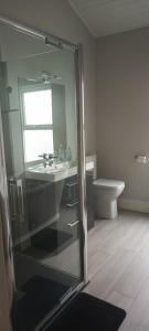a bathroom with a sink and a toilet at Eglinton Road - Super King - Private Bathroom in Bray