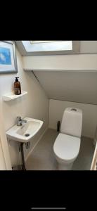 małą łazienkę z toaletą i umywalką w obiekcie Family-friendly home near canal w mieście Spangereid