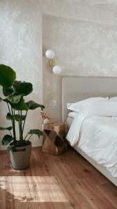 a bedroom with a bed and a potted plant at Atrium Apartments Aachen in Aachen