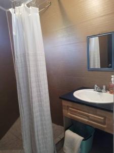 baño con lavabo y cortina de ducha en Apartamento Orquídea, en Quetzaltenango