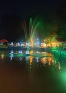 einen Brunnen mitten im Wasser in der Nacht in der Unterkunft Basundhara Resort Cum Family Restaurant in Kharagpur
