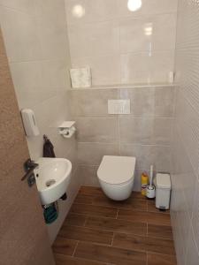 een kleine badkamer met een toilet en een wastafel bij Napfény Apartman ll. in Sopron