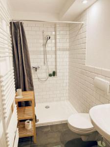 a bathroom with a shower and a toilet and a sink at Haus Bergblick in Rettenberg