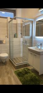een badkamer met een douche, een toilet en een wastafel bij Apartment OB in Oberhausen
